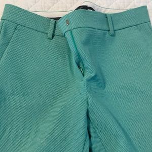 Like new Ann Taylor mint green pants